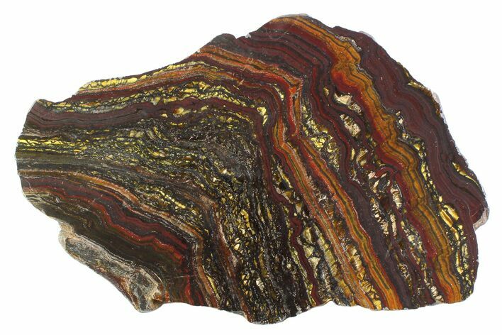 Polished Tiger Iron Stromatolite Slab - Billion Years #354936